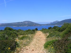 Looking back along the path to the headland with the anchorage at Cala Tramariglio on the far side of Porto Conte Bay in the background