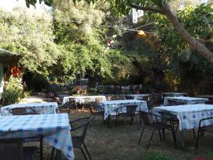 The tavena garden at Abelike, Meganisi