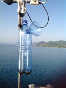 The Carmel Wasp Trap, made from two sparkling water bottles and baited wth a mix of honey and water!